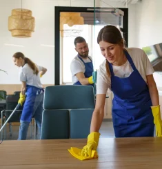 Routine-cleaning.webp